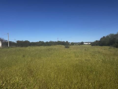 Terreno  Venda em Moncarapacho e Fuseta,Olhão