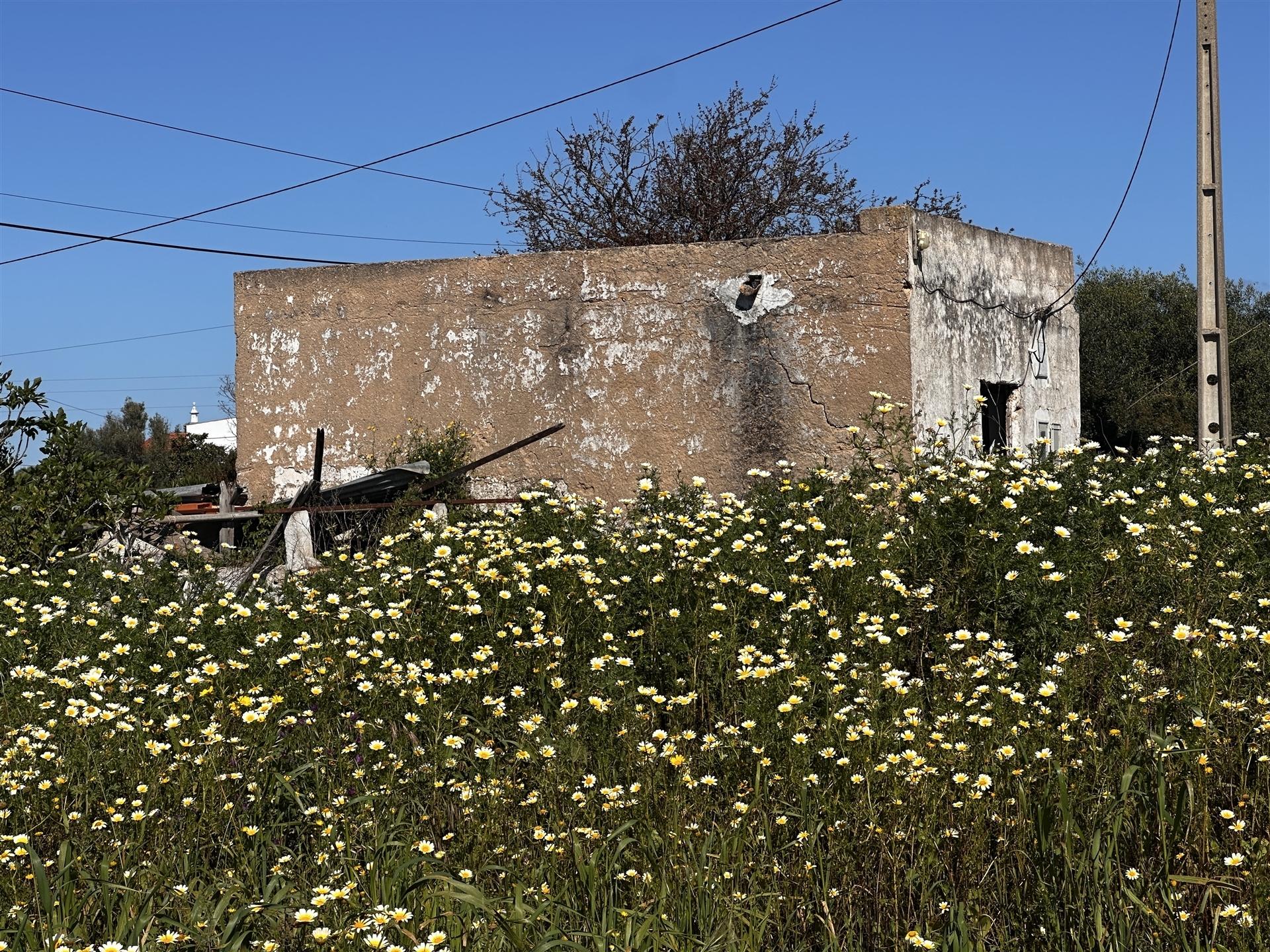 Terreno  Venda em Moncarapacho e Fuseta,Olhão