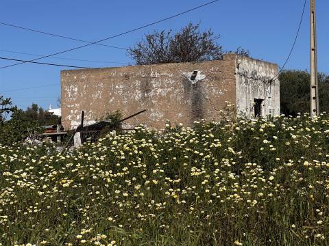 Terreno  Venda em Moncarapacho e Fuseta,Olhão