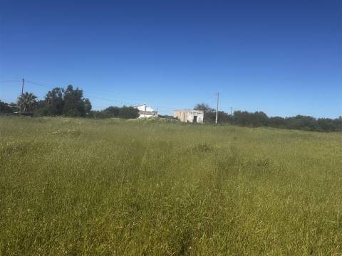 Terreno  Venda em Moncarapacho e Fuseta,Olhão