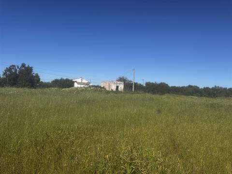 Terreno  Venda em Moncarapacho e Fuseta,Olhão