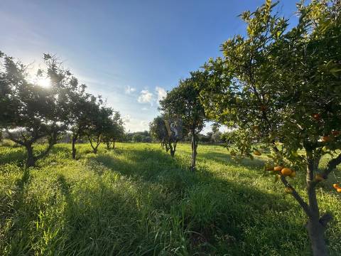 Moradia Isolada T2+1 Venda em Quelfes,Olhão