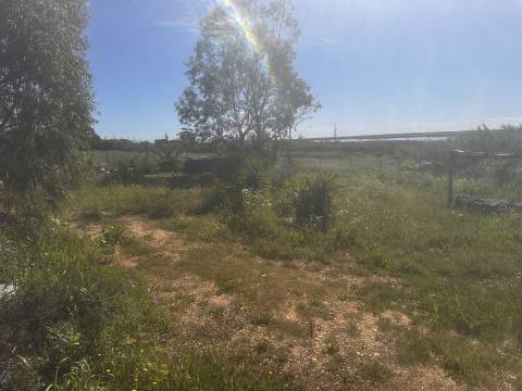 Terreno Rústico  Venda em Moncarapacho e Fuseta,Olhão