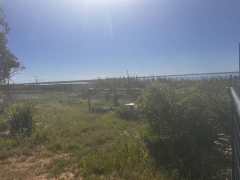 Terreno Rústico  Venda em Moncarapacho e Fuseta,Olhão