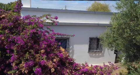 Moradia Rústica T3 Venda em Conceição e Estoi,Faro