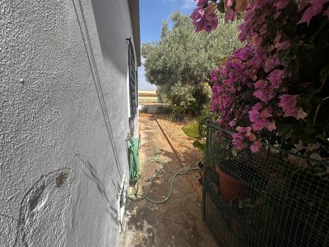 Moradia Rústica T3 Venda em Conceição e Estoi,Faro