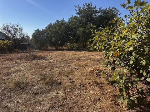 Moradia Rústica T3+3 Venda em Moncarapacho e Fuseta,Olhão