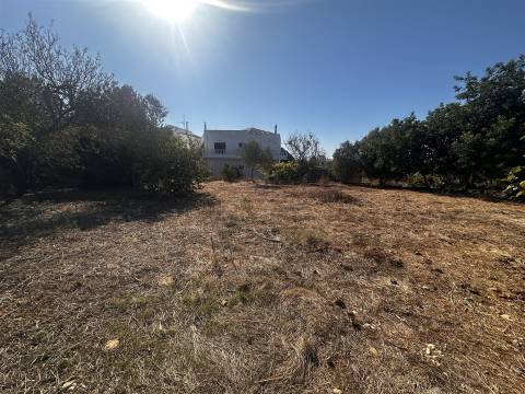 Moradia Rústica T3+3 Venda em Moncarapacho e Fuseta,Olhão