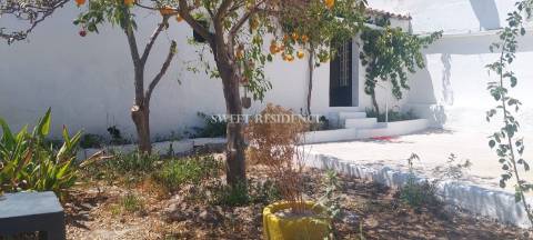 Moradia T3 Venda em Albernoa e Trindade,Beja