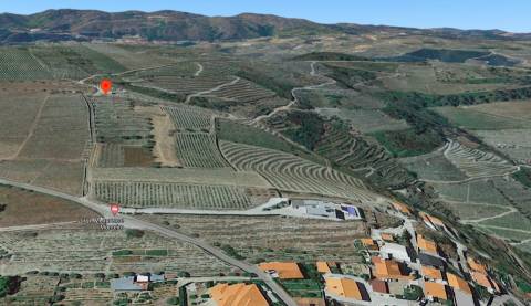 Terreno  Venda em Valença do Douro,Tabuaço