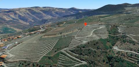 Terreno  Venda em Valença do Douro,Tabuaço