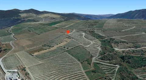 Terreno  Venda em Valença do Douro,Tabuaço