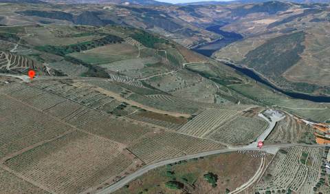 Terreno  Venda em Valença do Douro,Tabuaço