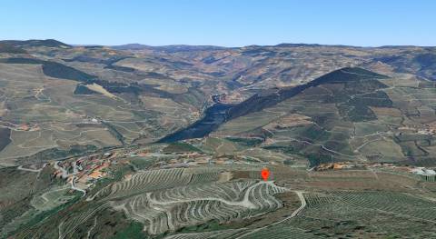 Terreno  Venda em Valença do Douro,Tabuaço