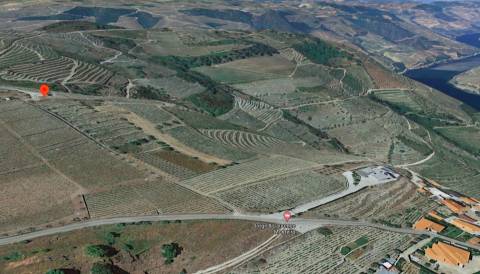 Terreno  Venda em Valença do Douro,Tabuaço