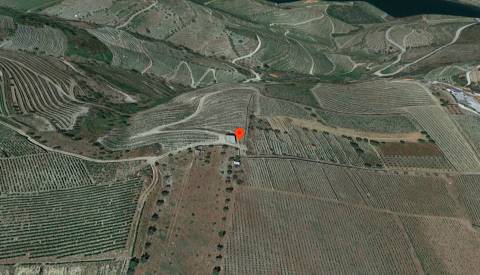 Terreno  Venda em Valença do Douro,Tabuaço