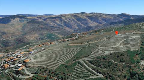 Terreno  Venda em Valença do Douro,Tabuaço