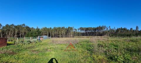 Moradia T7 + Sala c/ 100M2 + Terreno 4.666M2