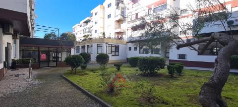 (Investimento) 2 Lojas c/ luz natural + Cave c/ 135M2