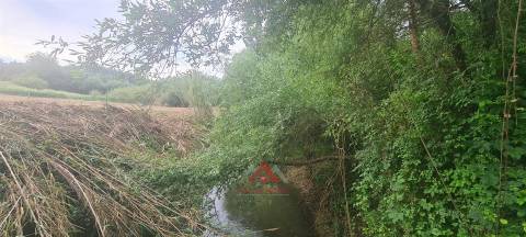 Quintinha c/ Frente para o Rio Lena