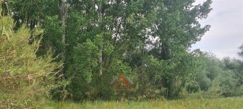 Quintinha c/ Frente para o Rio Lena