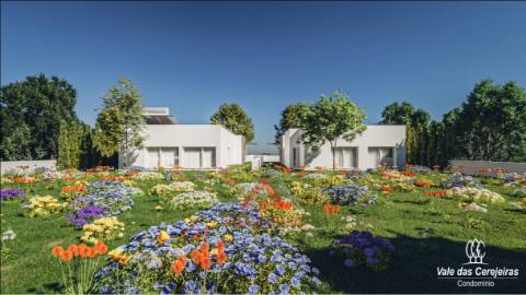 Moradia Rés-do-Chão T4 / Ilha / Jardim