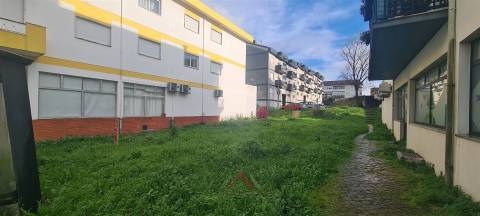 Lote Cruz da Areia - Comércio