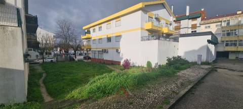 Lote Cruz da Areia - Comércio