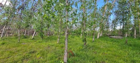 Quintinha / Terreno 15.000M2 Maceirinha
