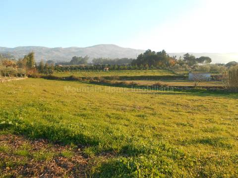 Terreno Rústico  Venda em Paços da Serra,Gouveia