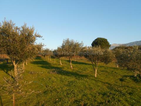 Terreno Rústico  Venda em Paços da Serra,Gouveia