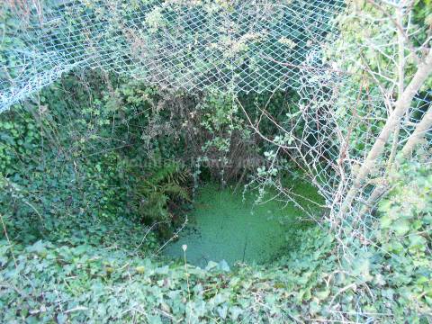 Terreno Rústico  Venda em Paços da Serra,Gouveia