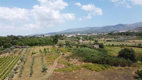 Terreno Rústico  Venda em Paços da Serra,Gouveia