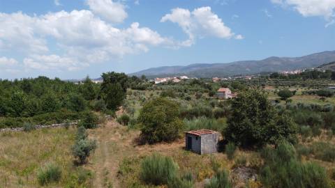 Terreno Rústico  Venda em Paços da Serra,Gouveia