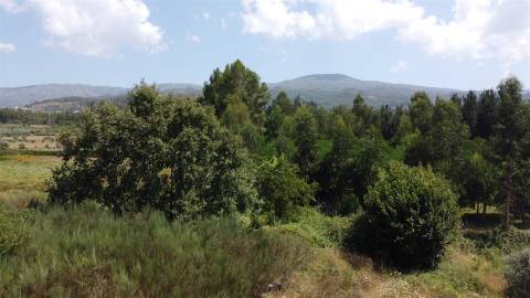 Terreno Rústico  Venda em Paços da Serra,Gouveia