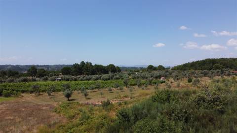 Terreno Rústico  Venda em Paços da Serra,Gouveia