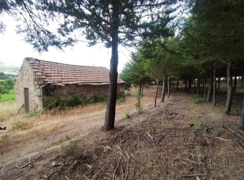 Quinta  Venda em Melo e Nabais,Gouveia