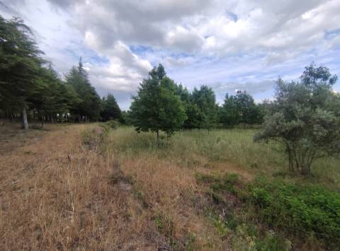Quinta  Venda em Melo e Nabais,Gouveia