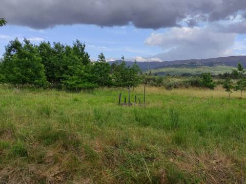 Quinta  Venda em Melo e Nabais,Gouveia