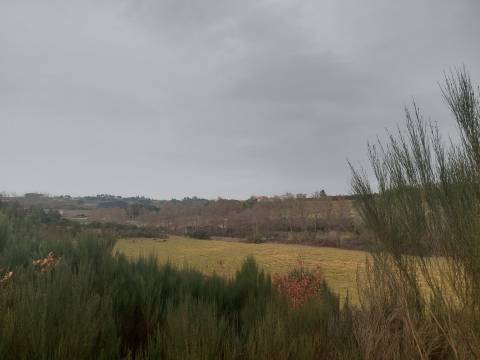 Quinta  Venda em Rio Torto e Lagarinhos,Gouveia