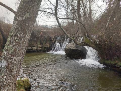 Quinta  Venda em Rio Torto e Lagarinhos,Gouveia