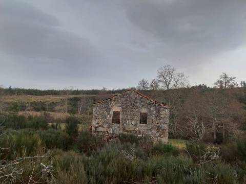 Quinta  Venda em Rio Torto e Lagarinhos,Gouveia