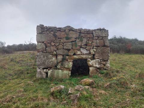 Quinta  Venda em Rio Torto e Lagarinhos,Gouveia