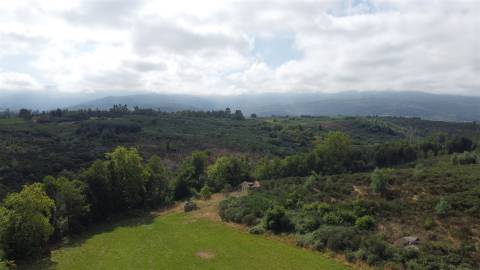 Quinta  Venda em Rio Torto e Lagarinhos,Gouveia