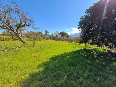 Quinta  Venda em Rio Torto e Lagarinhos,Gouveia