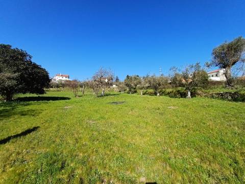 Quinta  Venda em Rio Torto e Lagarinhos,Gouveia