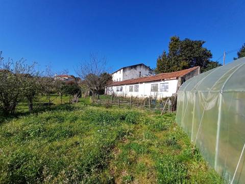Quinta  Venda em Rio Torto e Lagarinhos,Gouveia