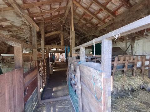 Quinta  Venda em Rio Torto e Lagarinhos,Gouveia