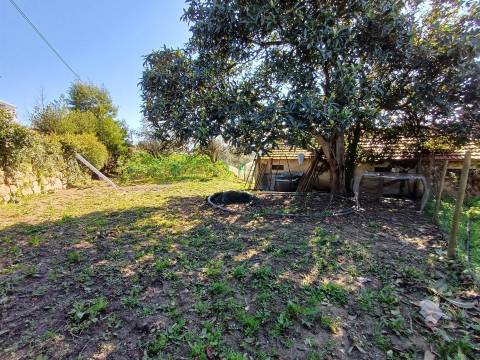 Quinta  Venda em Rio Torto e Lagarinhos,Gouveia