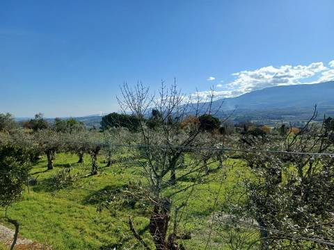 Quinta  Venda em Rio Torto e Lagarinhos,Gouveia
